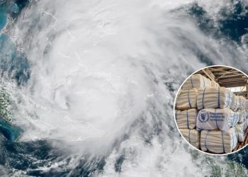 corea del sur envía ayuda humanitaria a cuba tras huracán melissa   Informe Regio