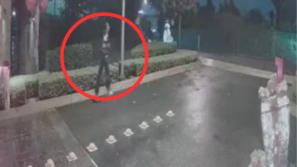 Menor Desaparecida En García - Informe Regio menor desaparecida García Regina Estefanía García Nuevo León ficha de búsqueda Agencia Estatal