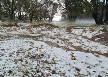 nieve en Nuevo León frente frío Sistema Meteorológico agua nieve Sierra Madre   Informe Regio