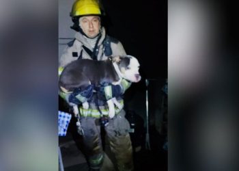 Cienega De Flores Perrito Incendio - Informe Regio CIENEGA DE FLORES PERRITO INCENDIO Informe Regio