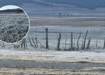 Hielo En Galeana - Informe Regio Hielo en Galeana Informe Regio