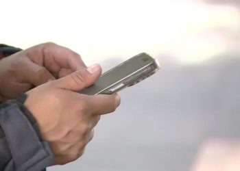 REGISTRO DE NÚMEROS TELEFÓNICOS MÉXICO   Informe Regio