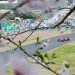 GP de Japón Circuito Suzuka Fórmula 1 Horarios México   Informe Regio
