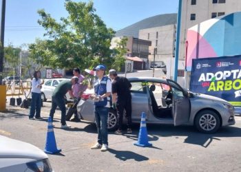 ADOPTA UN ÁRBOL MONTERREY   Informe Regio