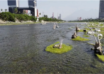 deterioro ambiental PROFEPA Guadalupe activistas   Informe Regio