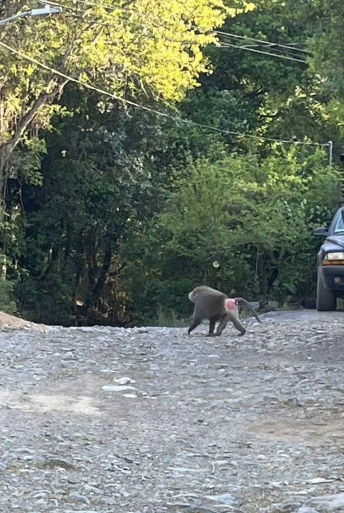 Screenshot - Informe Regio Informe Regio