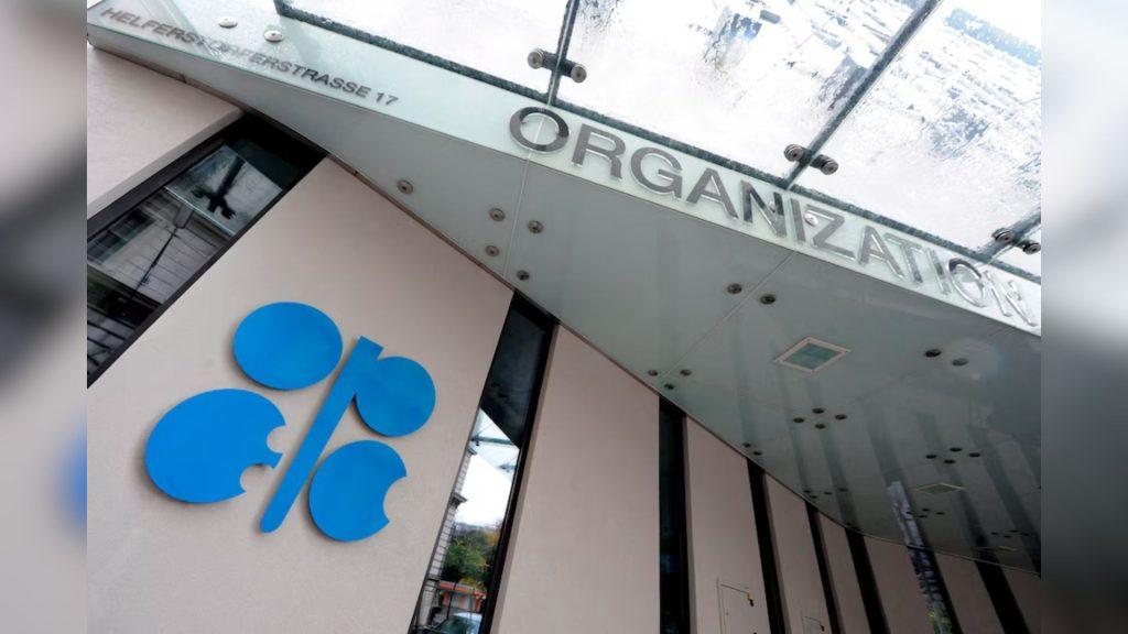 Facade of a modern office entrance with a large blue abstract logo on the left and the word ORGANIZATION on the glass canopy above   Informe Regio