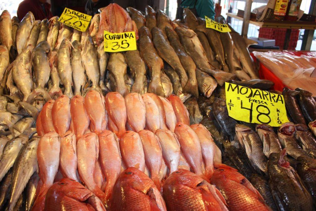 Assorted fresh fish on ice at a seafood market with bright yellow price signs in the background   Informe Regio