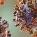 HANTAVIRUS VIRUS DE LOS ANDES   Informe Regio