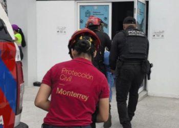 Ataque de abejas en Monterrey   Informe Regio