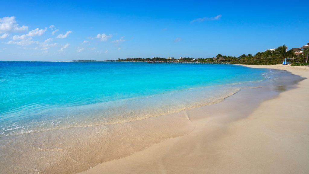Bright turquoise sea meets a sandy beach under a clear blue sky with palm trees along the shore and a distant pier   Informe Regio