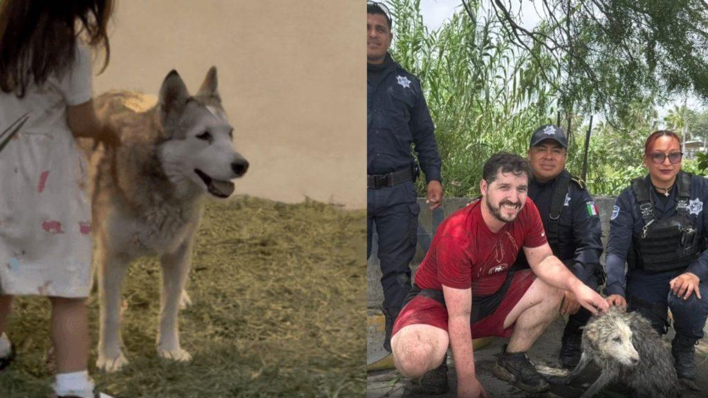 Rescatan-a-una-perrita-en-apodaca - Informe Regio Rescatan a una perrita en Apodaca Informe Regio