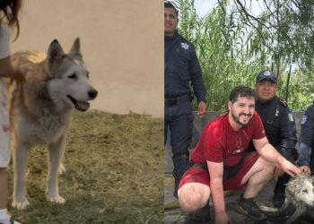 Rescatan a una perrita en Apodaca   Informe Regio