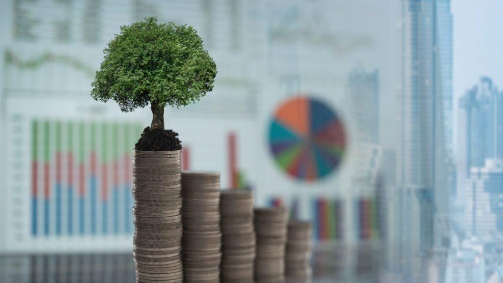 A small tree growing on a stack of coins symbolizing sustainable finance and growth with charts in the blurred background   Informe Regio