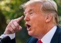 donald trump pedófilo   Informe Regio