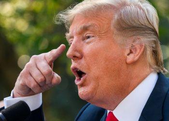 donald trump pedófilo