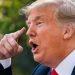 donald trump pedófilo   Informe Regio