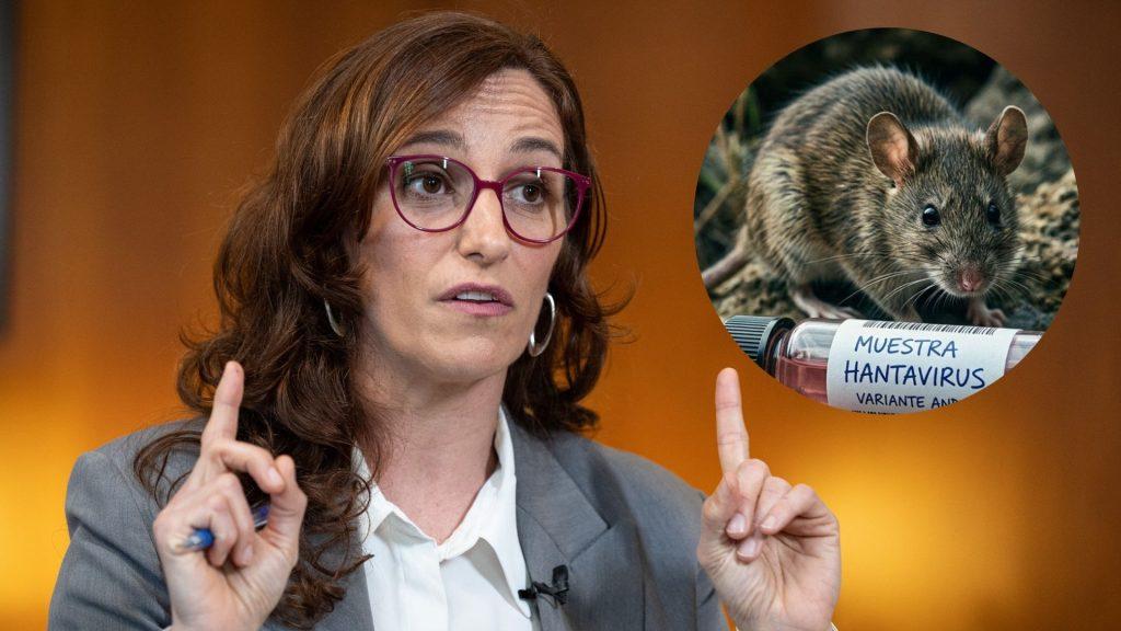 La ministra de sanidad confirma el traslado de los españoles afectados por hantavirus a Madrid   Informe Regio