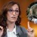 La ministra de sanidad confirma el traslado de los españoles afectados por hantavirus a Madrid   Informe Regio