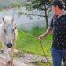 caballo santiago maltrato   Informe Regio