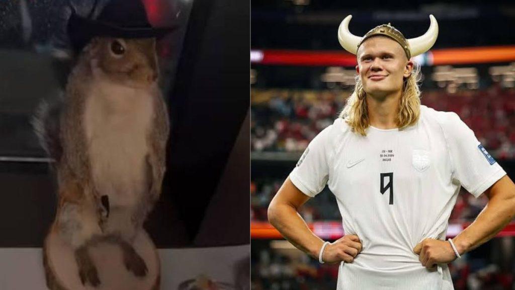 Two panel image left panel shows a hamster wearing a small helmet standing upright right panel shows a male soccer player in a white England jersey with a horned Viking helmet posing on a stadium field   Informe Regio