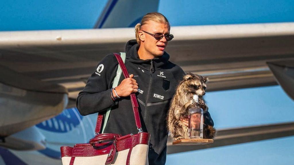 Man with blonde hair and sunglasses exits a plane carrying a red and cream bag a lemur sits on a wooden stand holding a bottle nearby   Informe Regio