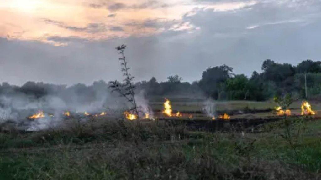 Incendio en el cerro del fraile   Informe Regio
