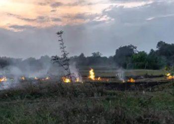 Incendio en el cerro del fraile   Informe Regio