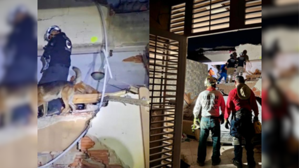 Perro rescató a un hombre de los escombros en Venezuela   Informe Regio
