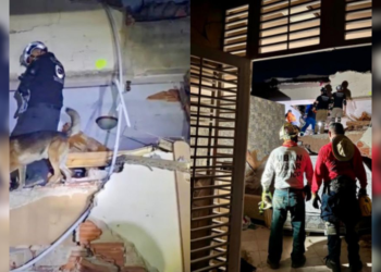 Perro rescató a un hombre de los escombros en Venezuela   Informe Regio