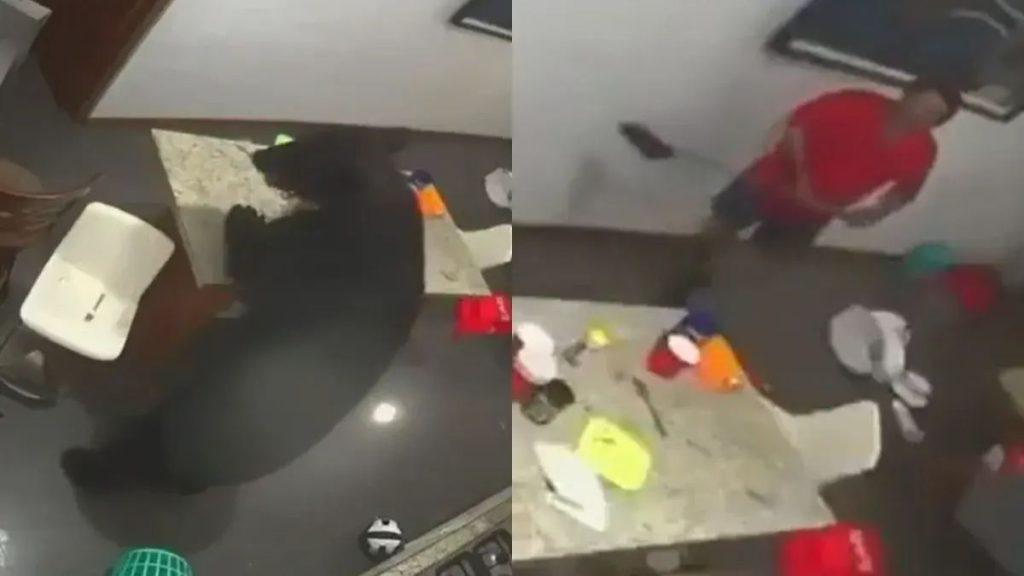 Oso negro ingresó a una vivienda en San Pedro   Informe Regio