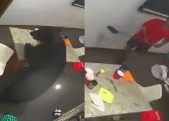 Oso-negro-ingreso-a-una-vivienda-en-san-pedro - Informe Regio Oso negro ingresó a una vivienda en San Pedro Informe Regio
